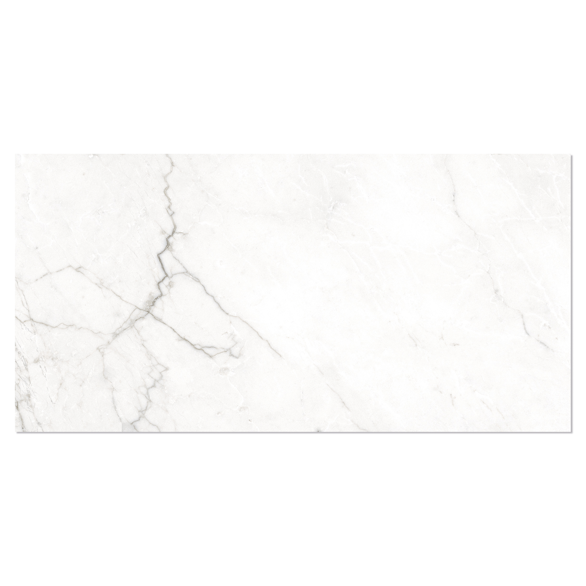 Marmor Klinker Venata Vit-Grå Matt 30x60 cm