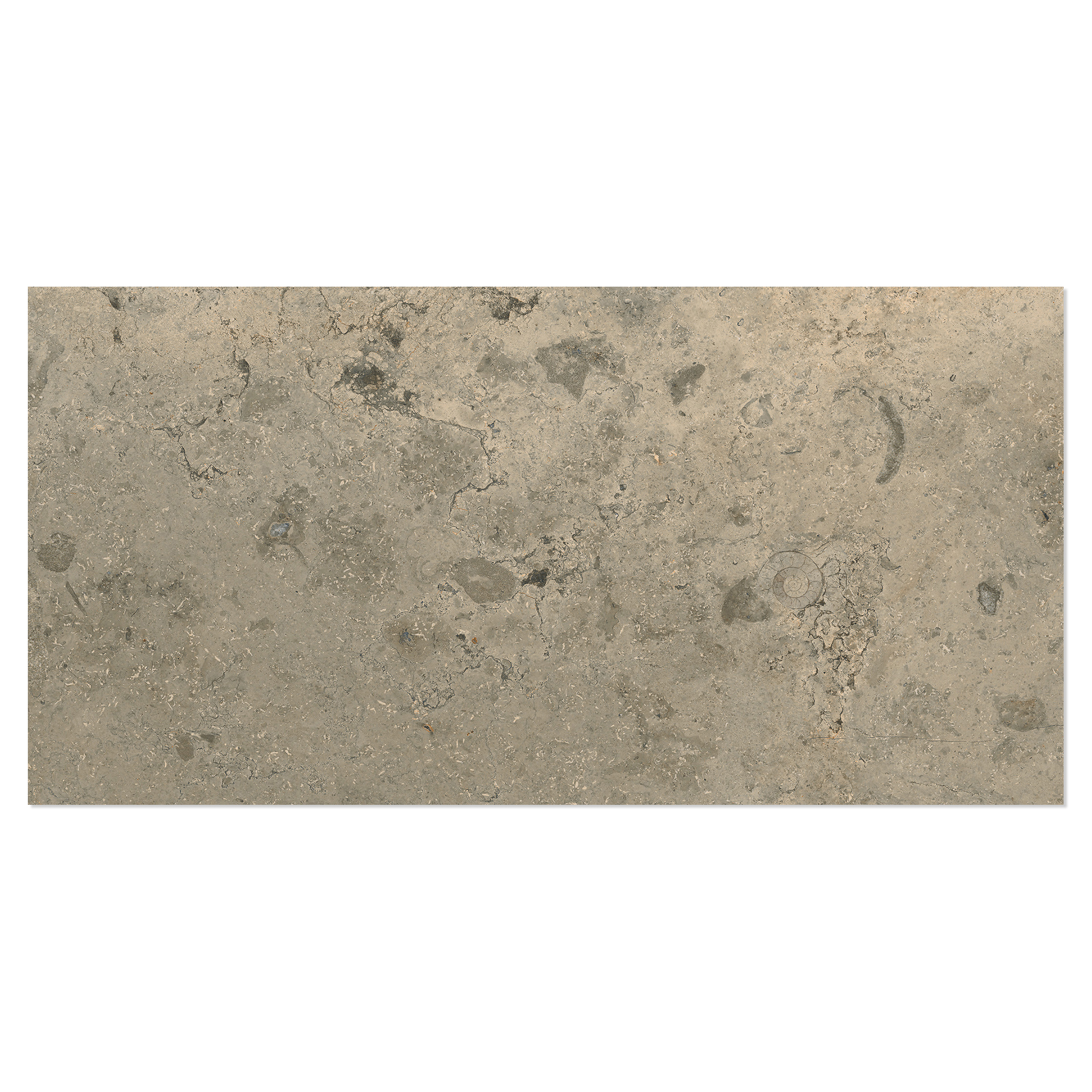 Klinker Kalksten Fjäll Gråbeige Matt-Struktur 3D 30x60 cm