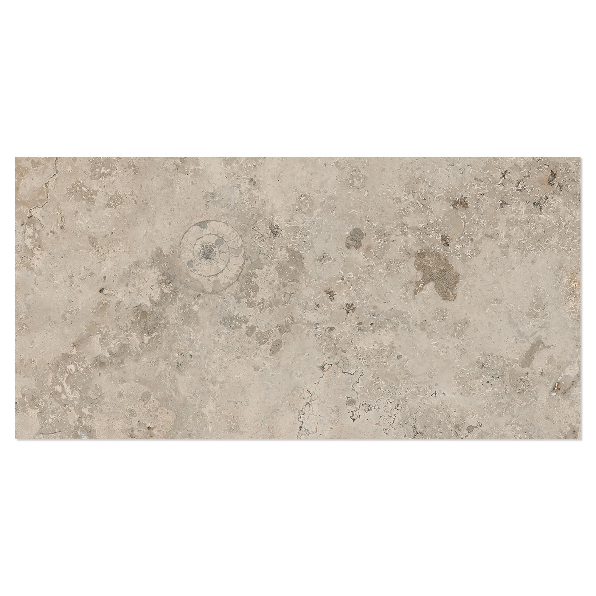 Klinker Kalksten Fjäll Ljusbrun Matt-Struktur 3D 30x60 cm