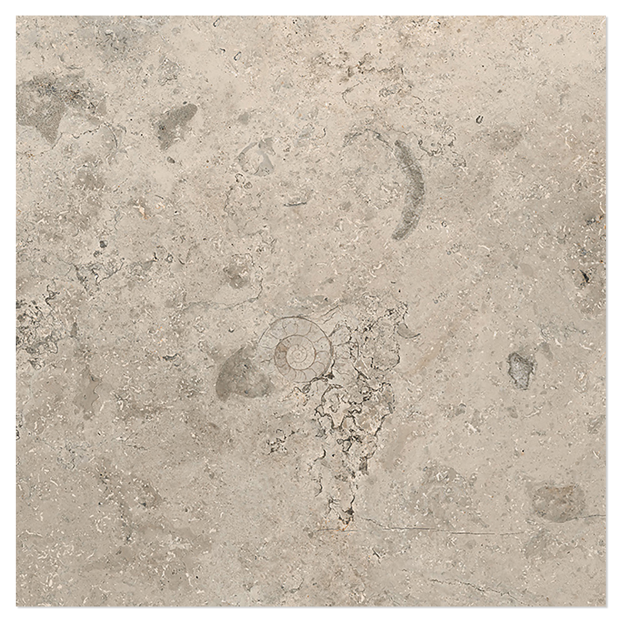 Klinker Kalksten Fjäll Ljusbrun Matt-Struktur 3D 30x30 cm