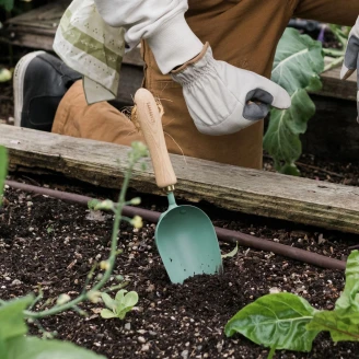 Barebones Trädgårdsspade <strong>Wildhaven</strong>  Grön Mint