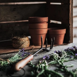 Barebones Trädgårdskultivator <strong>Wildhaven</strong>  Svart