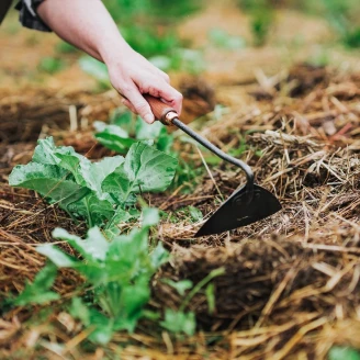 Barebones Trekantshacka <strong>Wildhaven</strong>  Svart