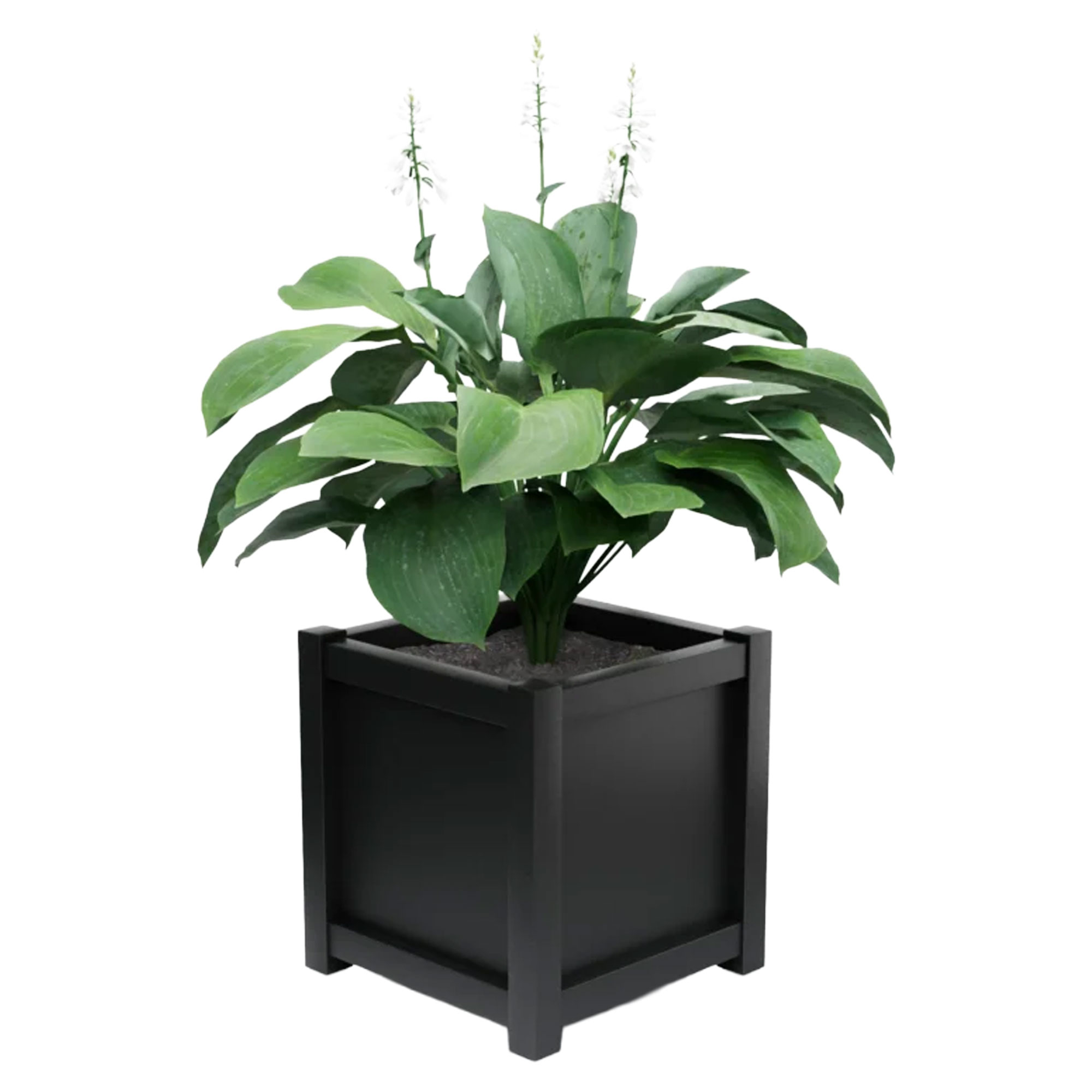 Utekruka Metall Elmsford Svart 60 cm