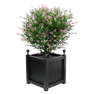 Utekruka Metall <strong>Bloomsbury</strong>  Svart 75 cm med Dekorativa Kulor