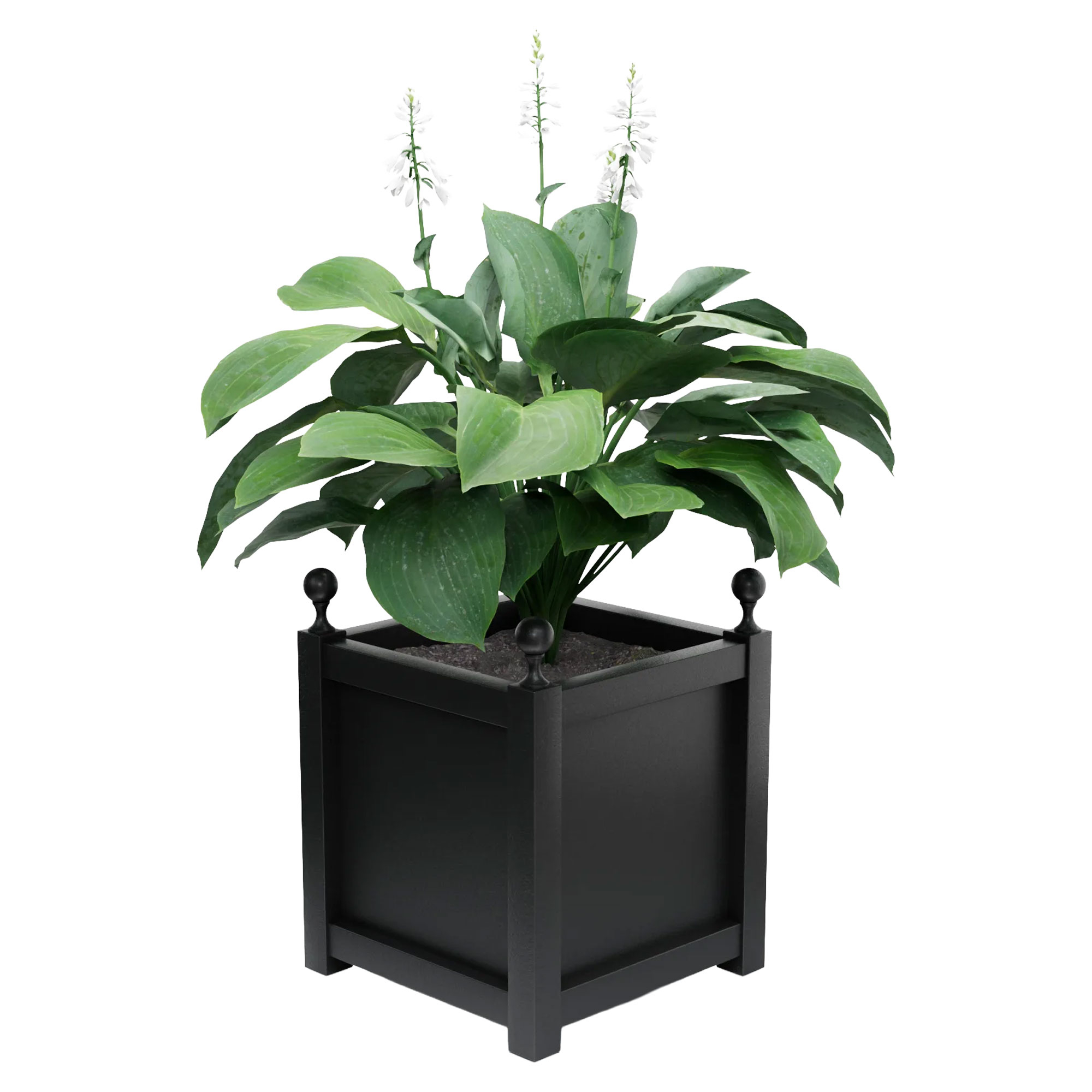 Utekruka Metall Elmsford Svart 60 cm med Dekorativa Kulor