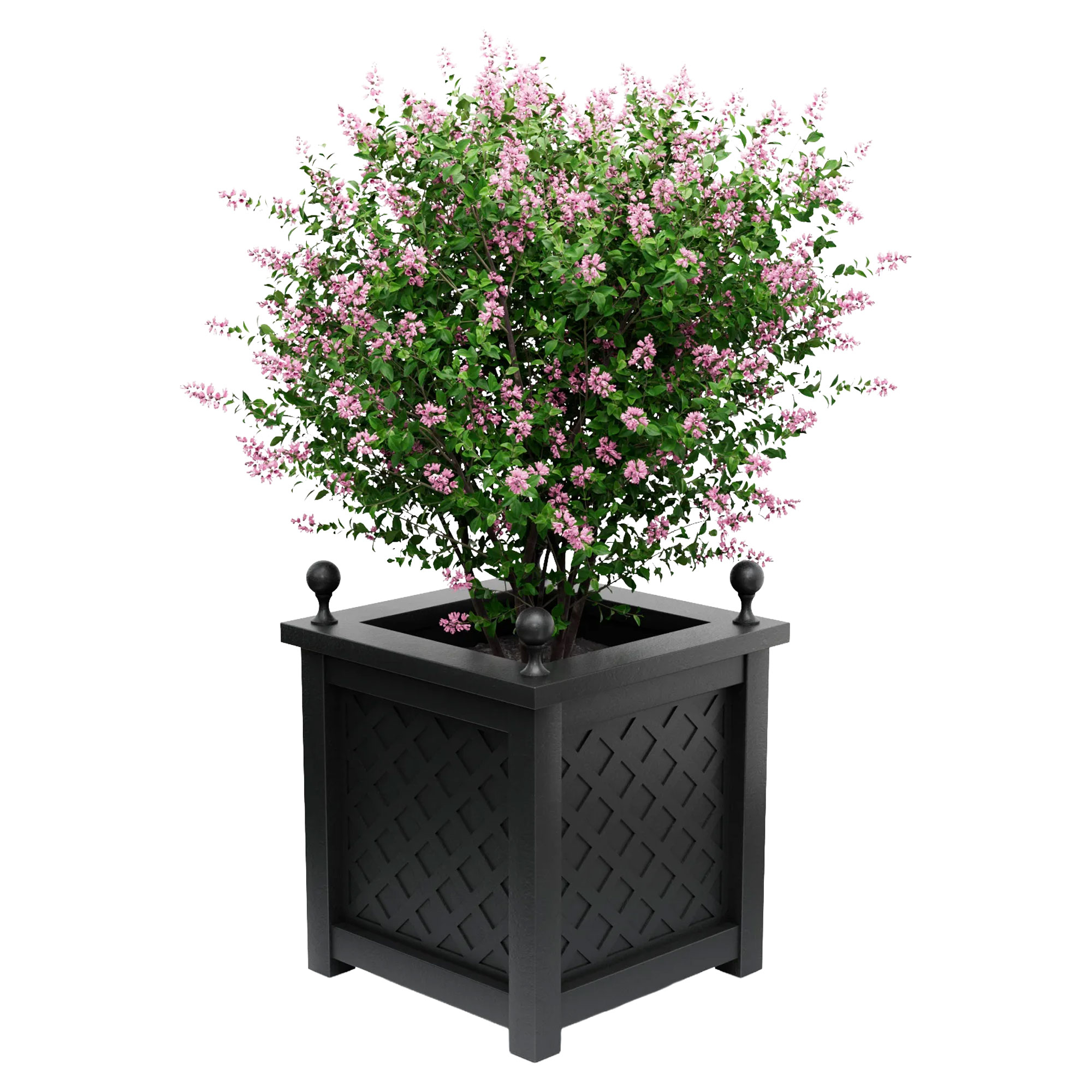 Utekruka Metall Bloomsbury Svart 75 cm med Dekorativa Kulor & Överkant