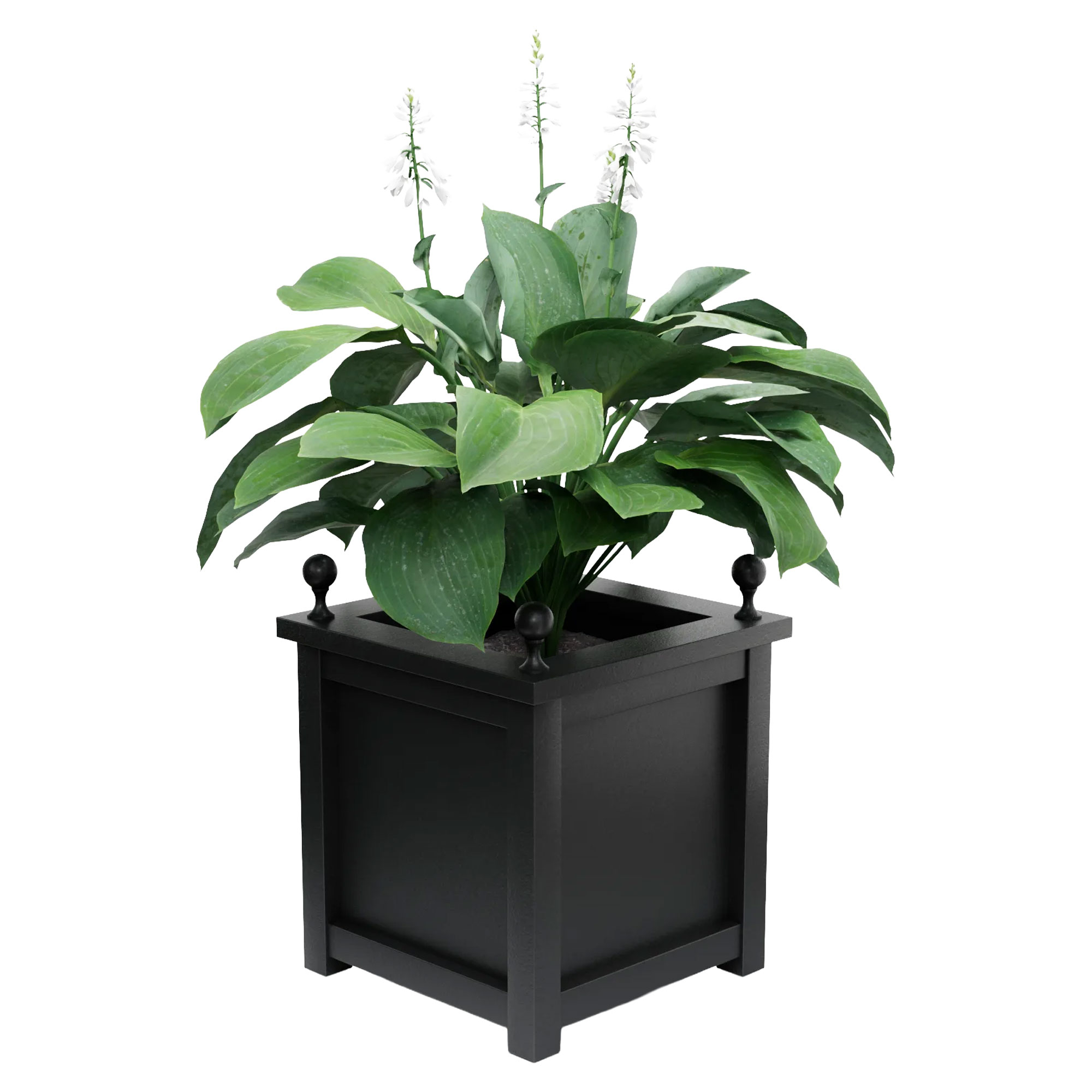 Utekruka Metall Elmsford Svart 75 cm med Dekorativa Kulor & Överkant