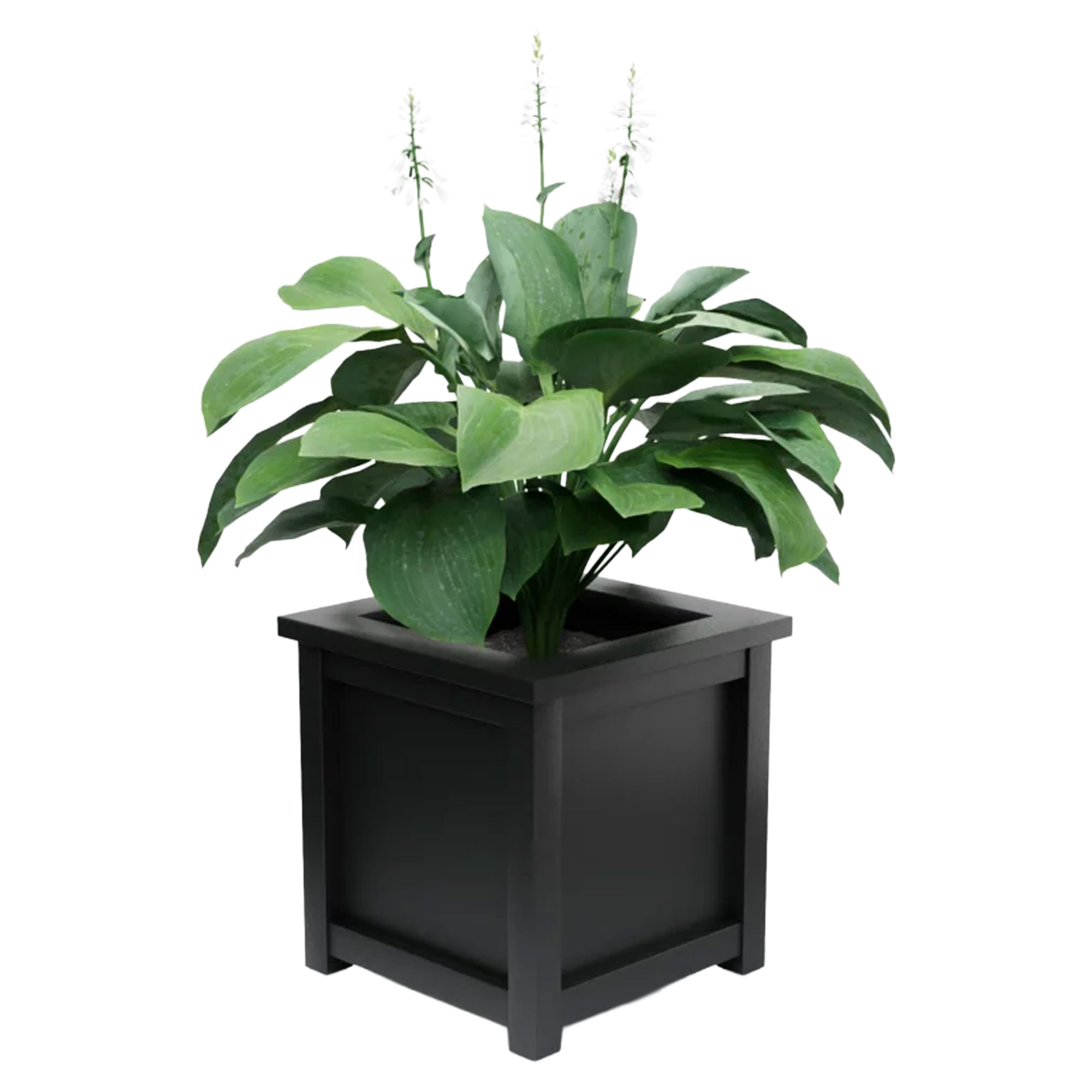 Utekruka Metall Elmsford Svart 75 cm med Dekorativ Överkant