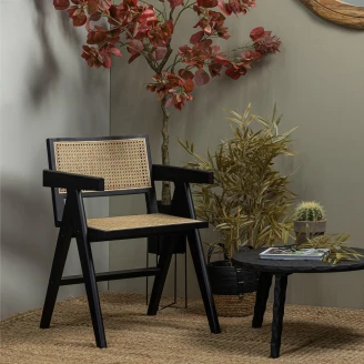 Woood Stol med Armstöd <strong>Gunn</strong>  Svart, Beige