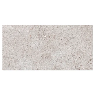 Klinker <strong>Alvar</strong>  Natural Ljusgrå Matt 30x60 cm