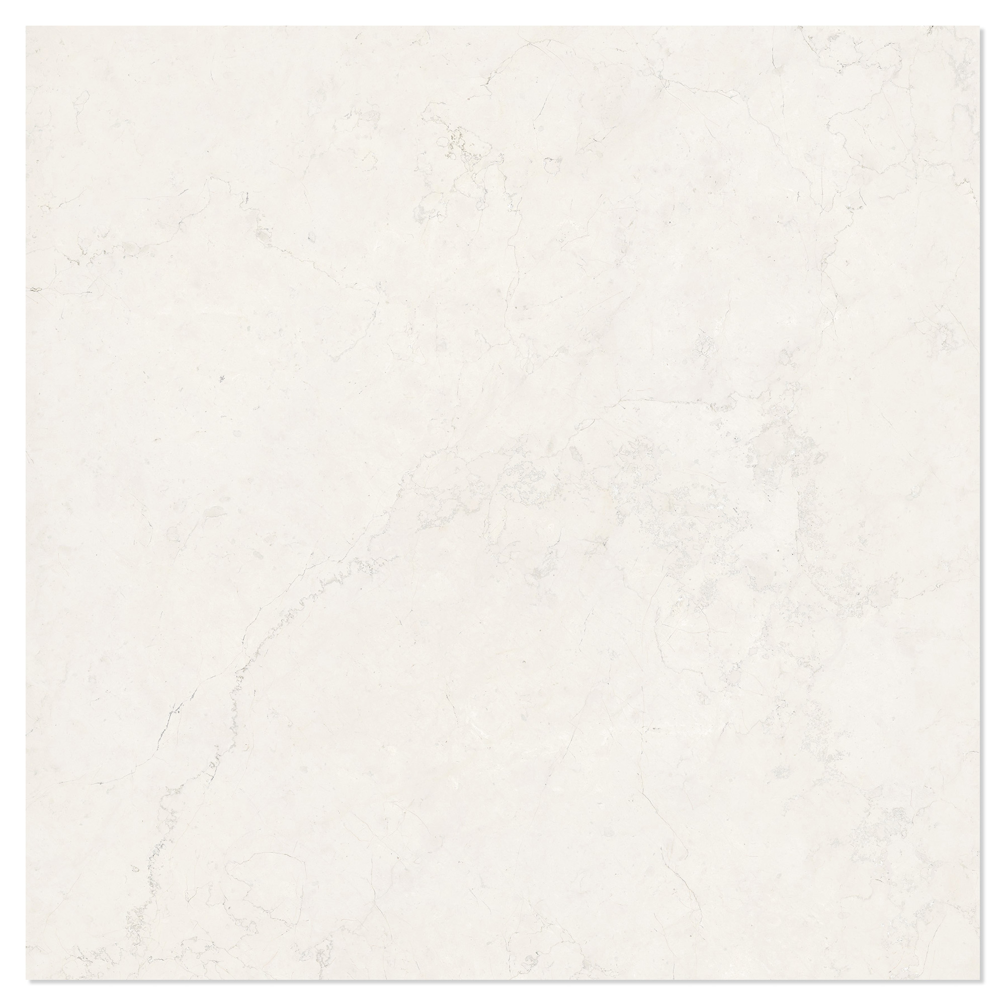 Marmor Klinker Alabia Vit Polerad 120x120 cm