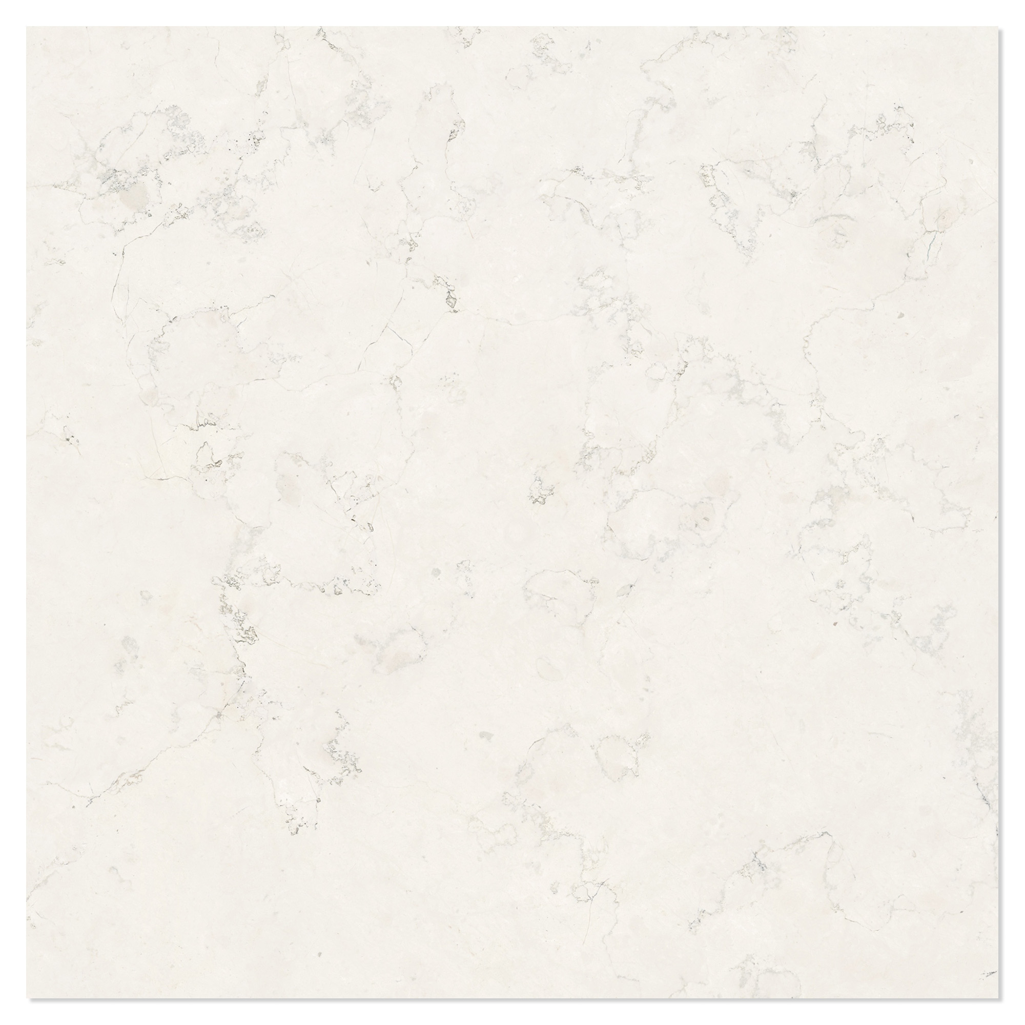 Marmor Klinker Alabia Vit Polerad 60x60 cm