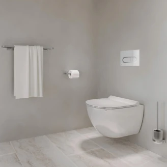 Ravak Toalettborste <strong>Chrome</strong>  Krom Blank
