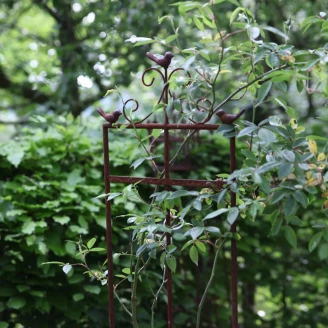 Plantestøtte S <strong>Romantica</strong>  Rust