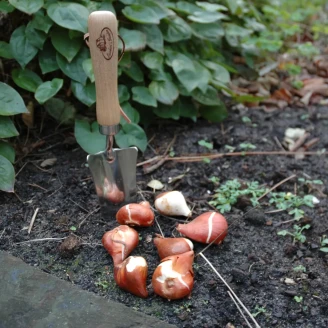 Planteringsspade <strong>Coreline</strong>  Trä, Rostfritt Stål