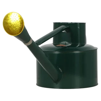 Vattenkanna 5 L <strong>Rivex</strong>  Grön, Grön