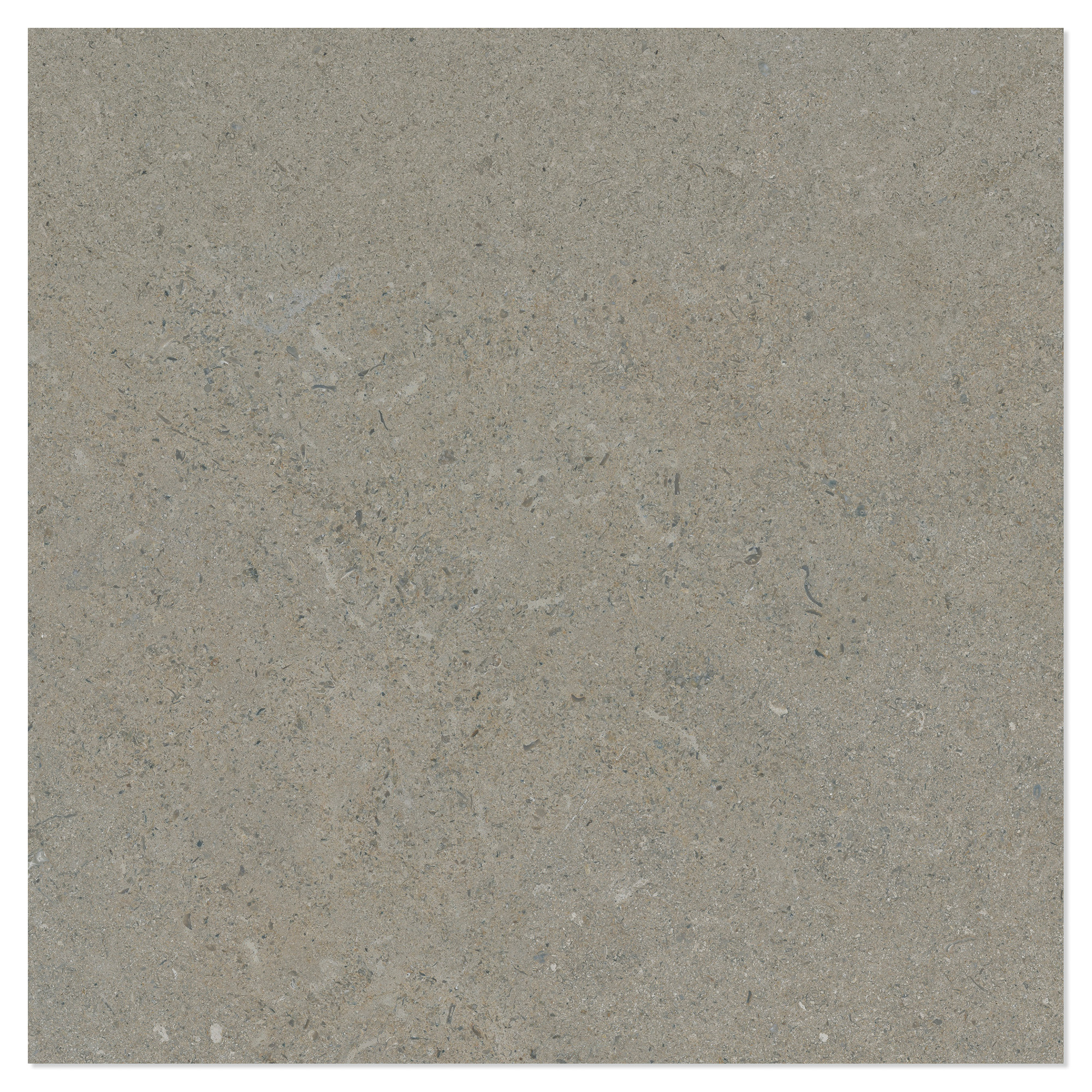 Klinker Litha Gråbeige Halvpolerad 60x60 cm