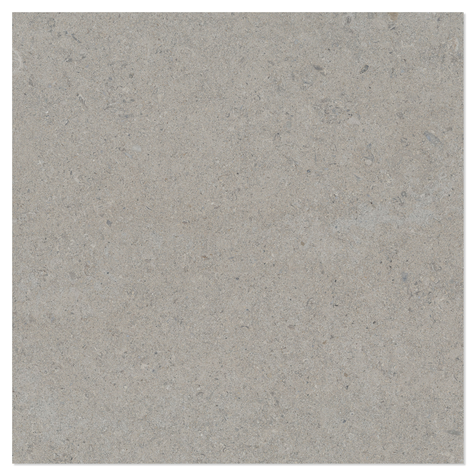 Klinker Litha Grå Brushed Matt 60x60 cm