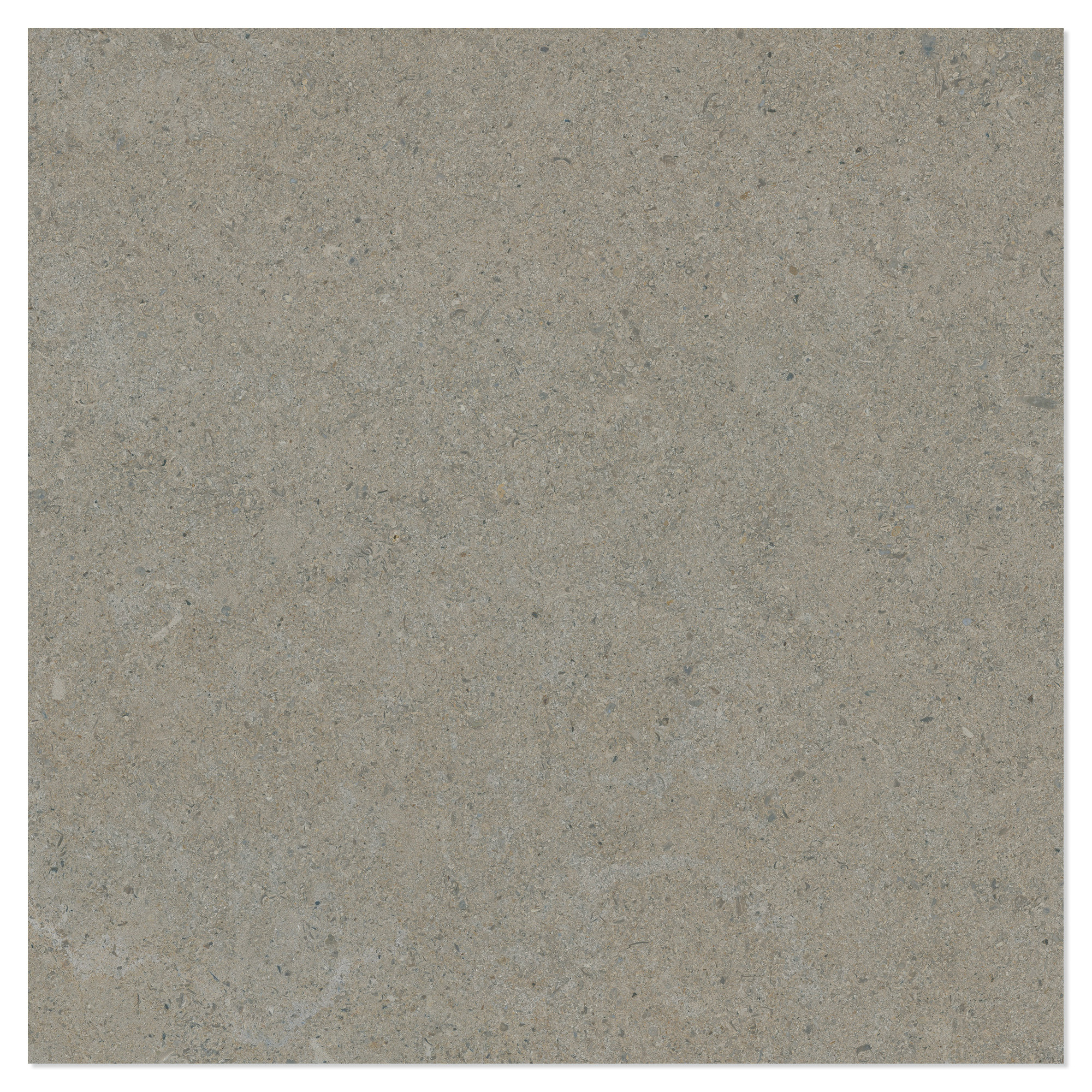 Klinker Litha Gråbeige Brushed Matt 60x60 cm