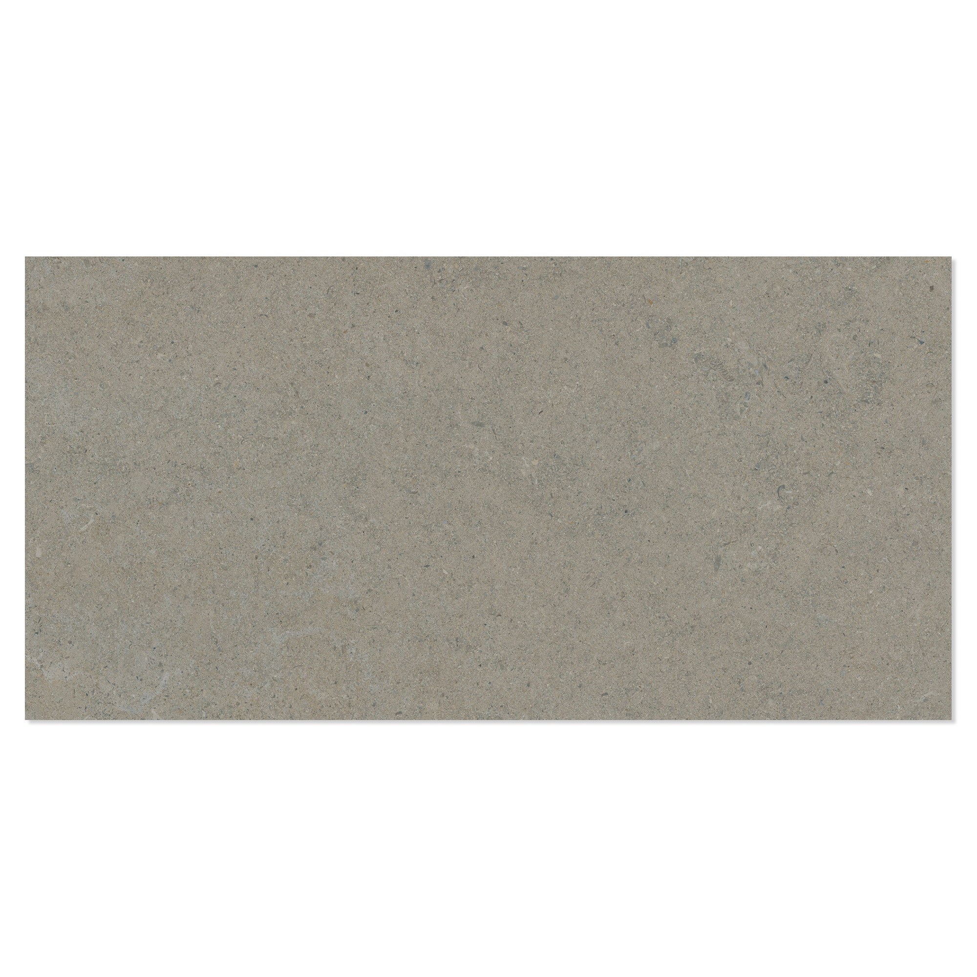 Klinker Litha Gråbeige Brushed Matt 60x120 cm