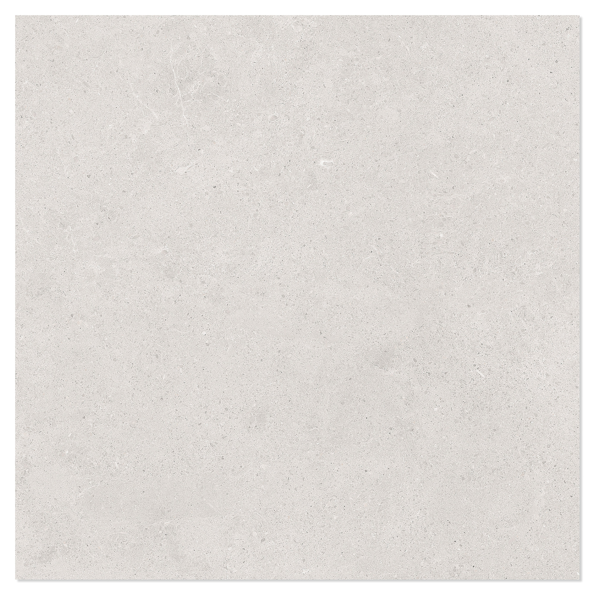 Marmor Klinker Arento Vit Matt 60x60 cm