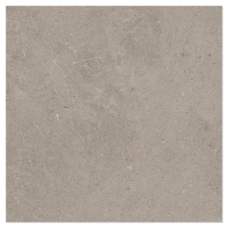 Marmor Klinker Arento Ljusbrun Matt 60x60 cm