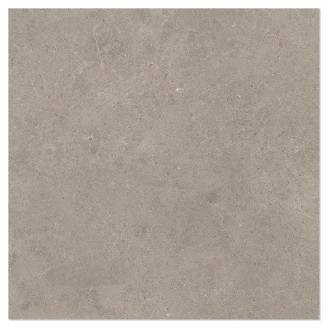 Marmor Klinker <strong>Arento</strong>  Ljusbrun Matt 60x60 cm