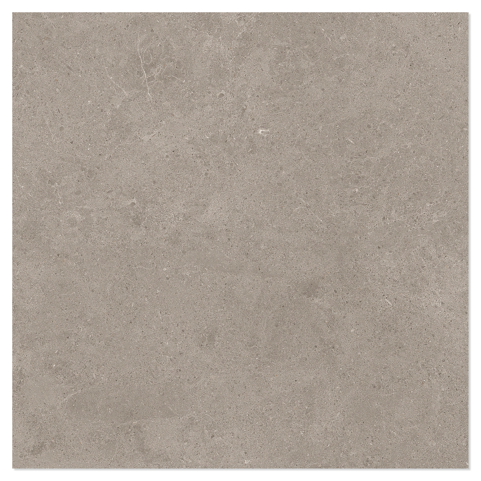Marmor Klinker Arento Ljusbrun Matt 60x60 cm