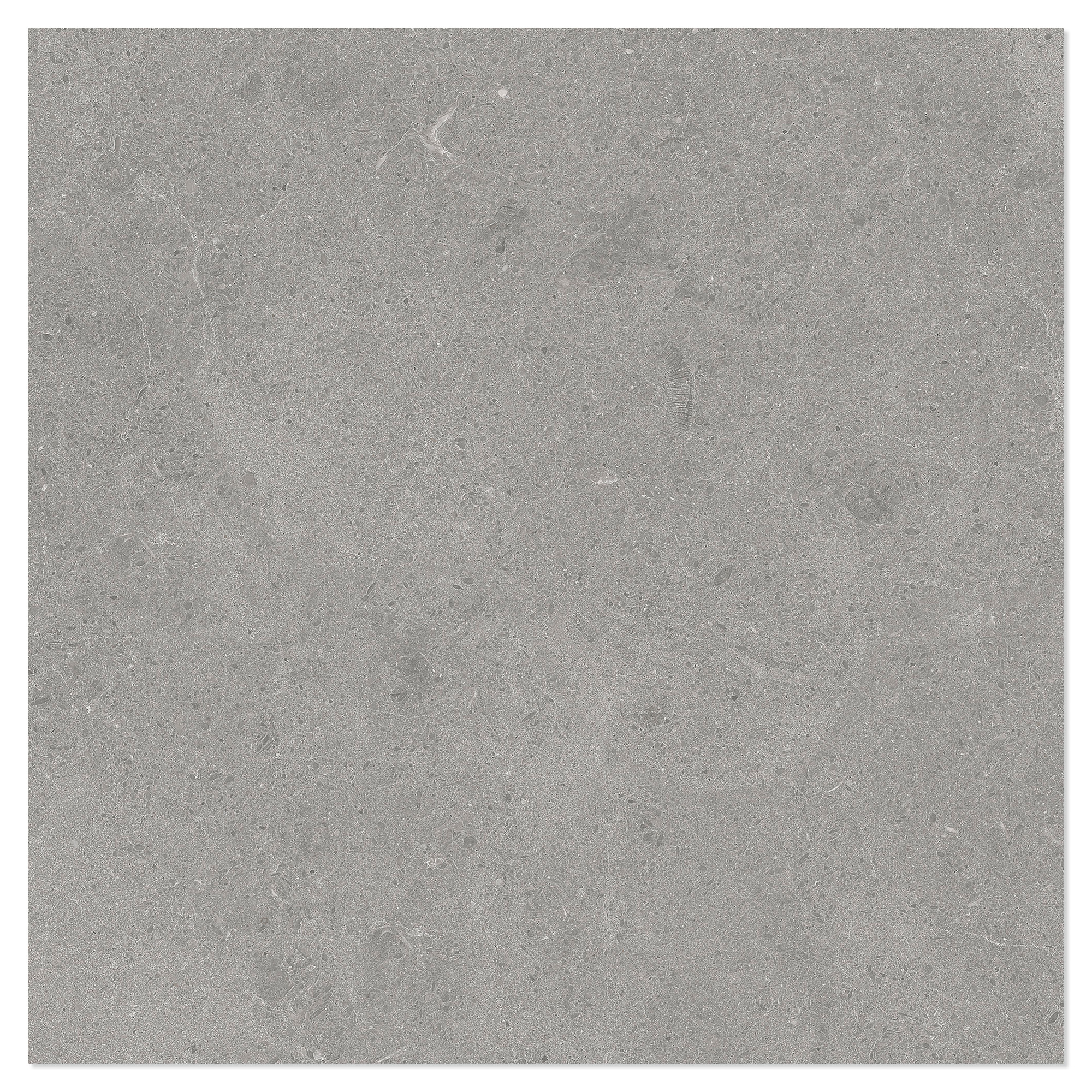 Marmor Klinker Arento Silver Matt 60x60 cm