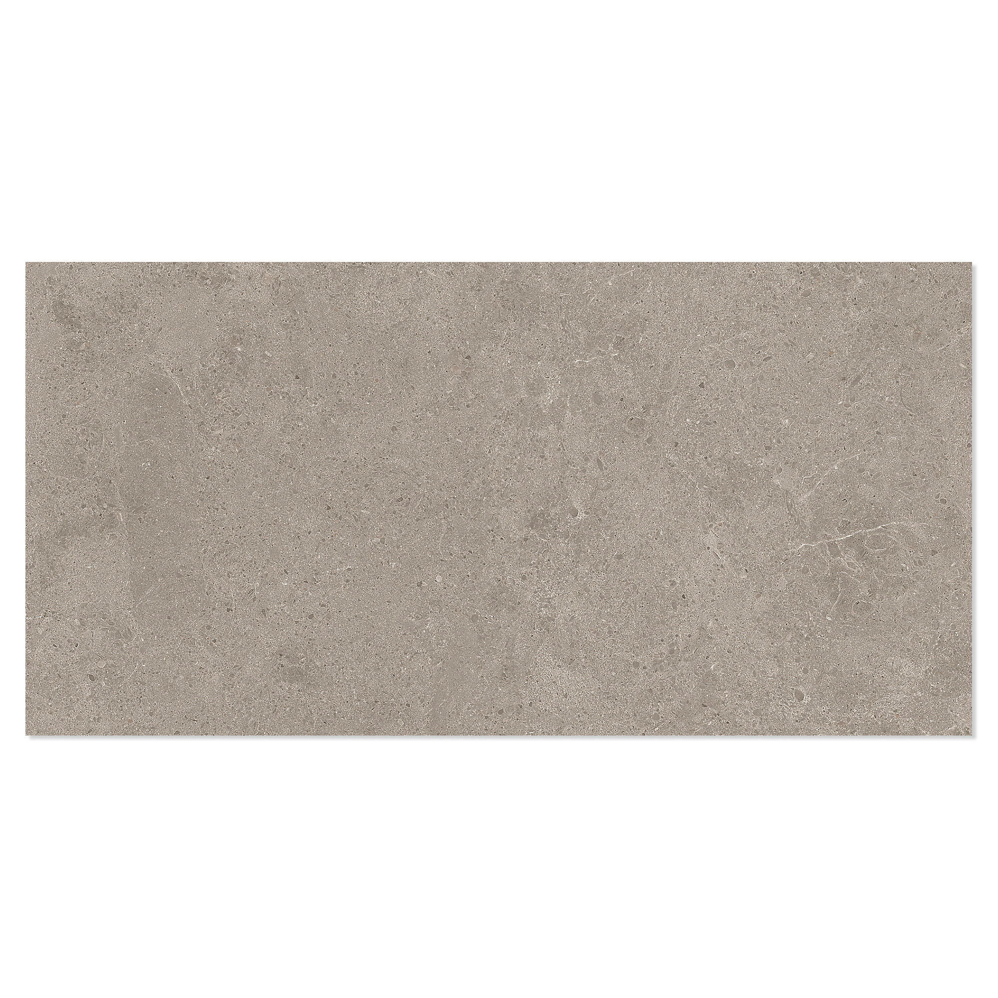 Marmor Klinker Arento Ljusbrun Matt 30x60 cm