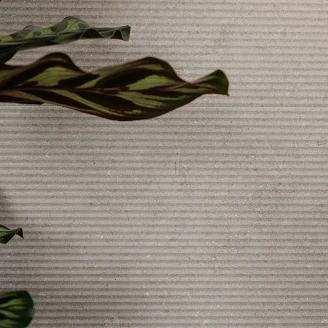 Kakel <strong>Jura</strong>  Linen Matt-Relief 30x90 cm