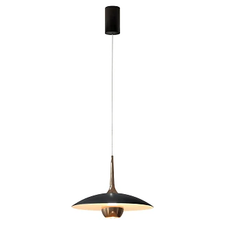 Hängande Lampa <strong>Rimbo</strong>  Svart, Guld