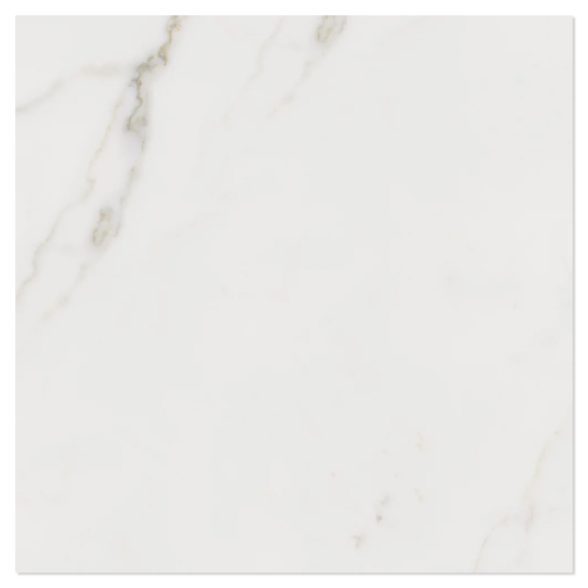 Marmor Klinker Adele Vit Matt 60x60 cm