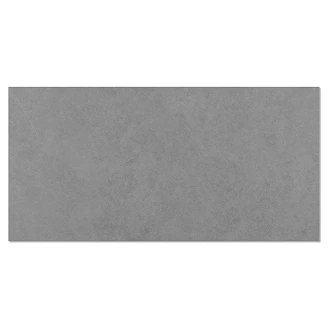 Klinker <strong>Hub</strong>  Grå Matt 30x60 cm